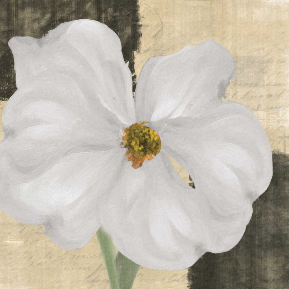 WHITE FLORAL I art print by Taylor Greene for $57.95 CAD