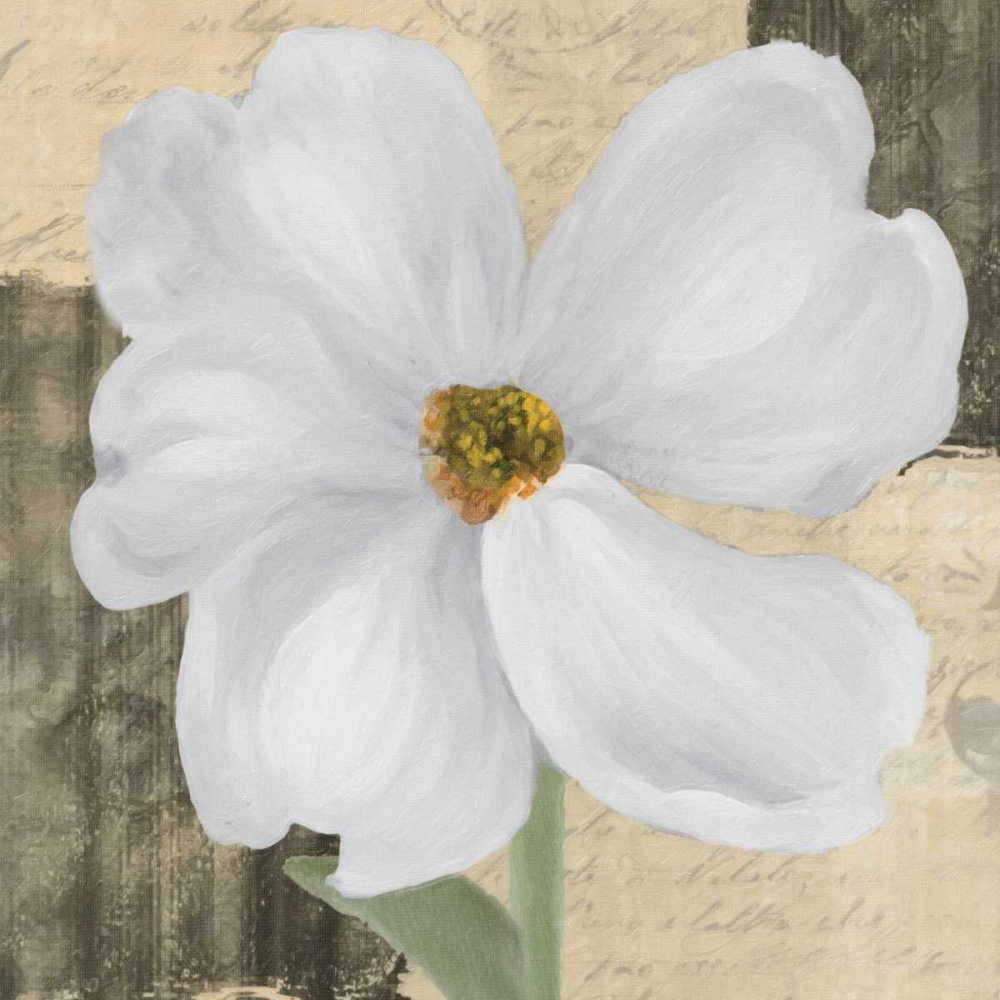 WHITE FLORAL II art print by Taylor Greene for $57.95 CAD