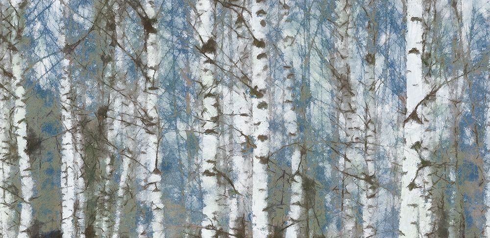 Birch Scape art print by Taylor Greene for $57.95 CAD