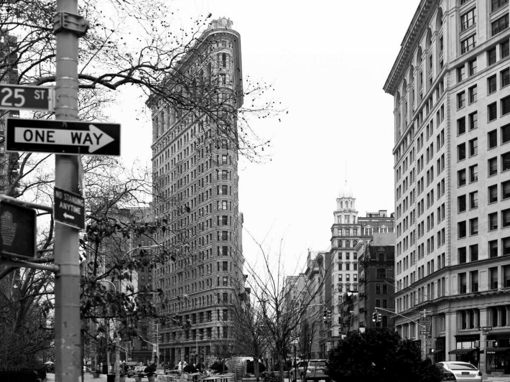 Flat Iron BW art print by Tracey Telik for $57.95 CAD