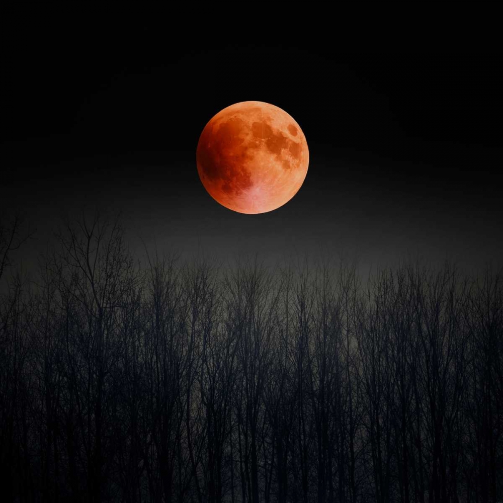 Blood Moon art print by Tracey Telik for $57.95 CAD