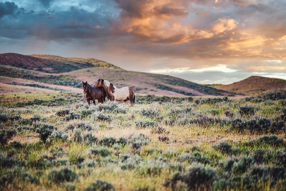 Stay Close art print by Tim West for $57.95 CAD