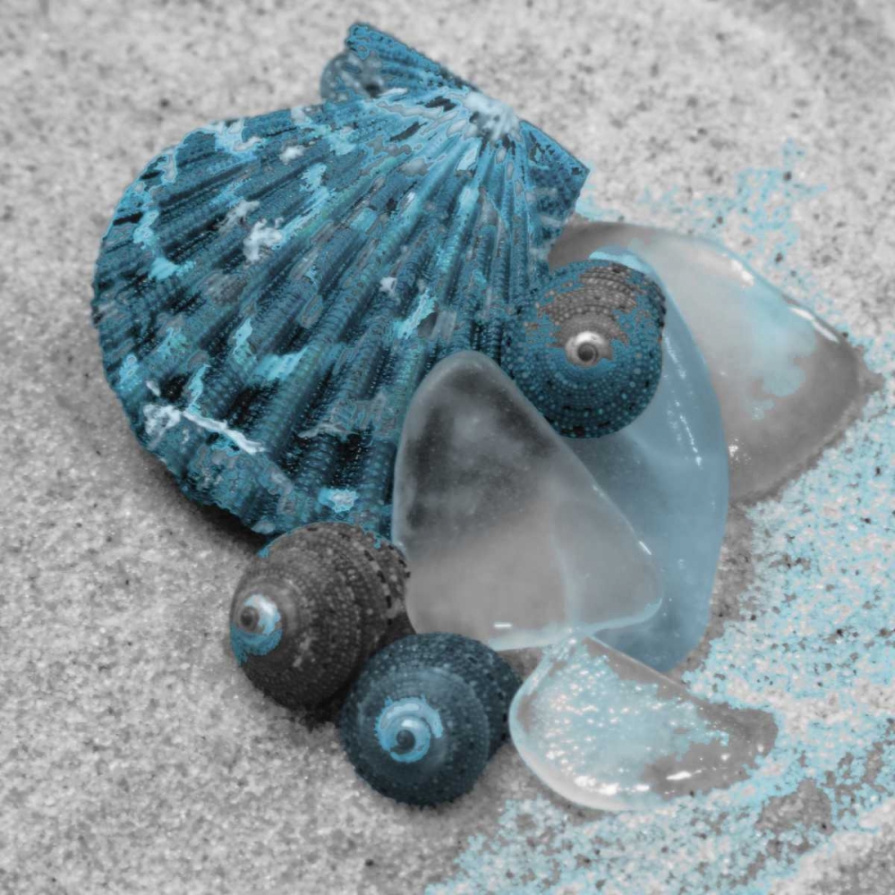 Blue Shells art print by Tony Pazan for $57.95 CAD