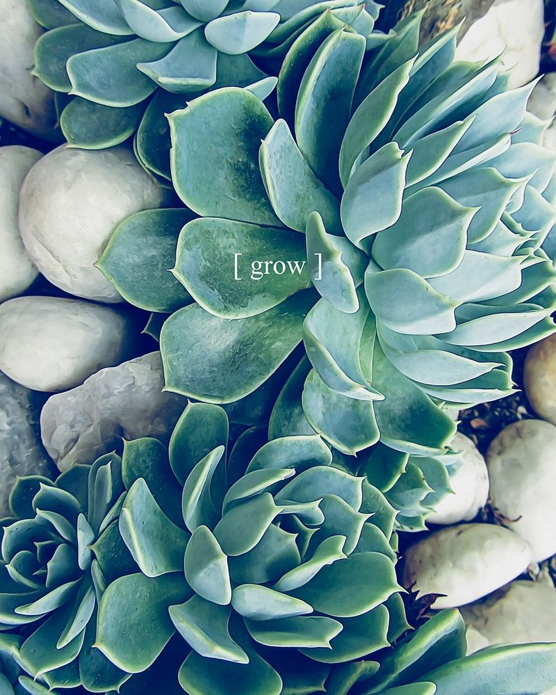 Grow Calm 2 art print by Urban Epiphany for $57.95 CAD