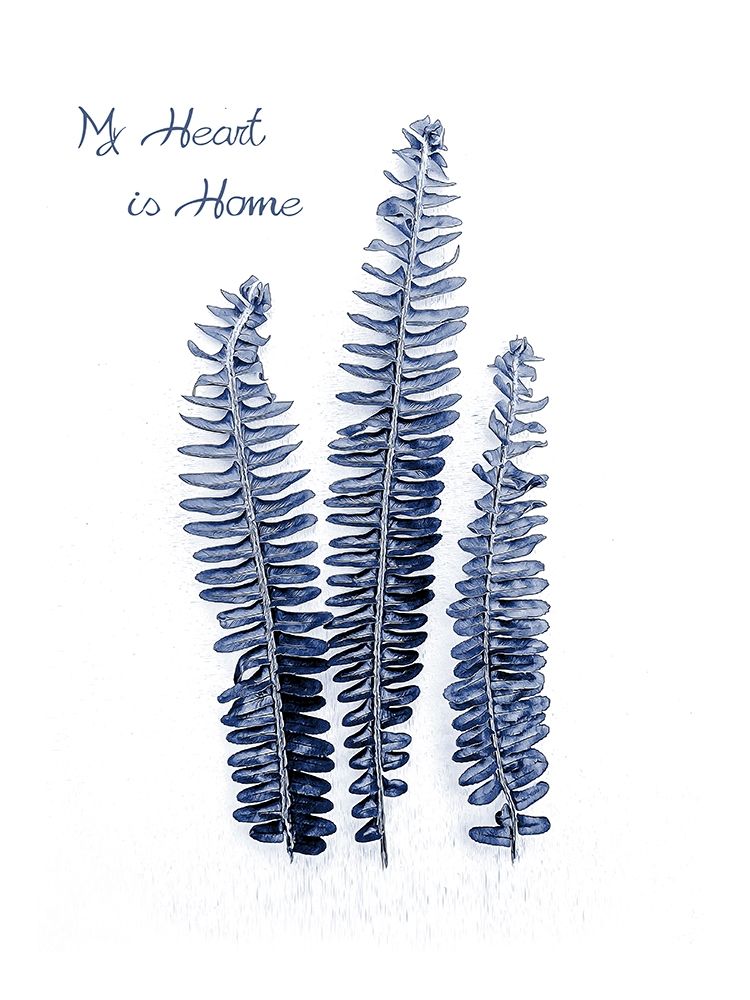 Fern Fronds Navy art print by Urban Epiphany for $57.95 CAD