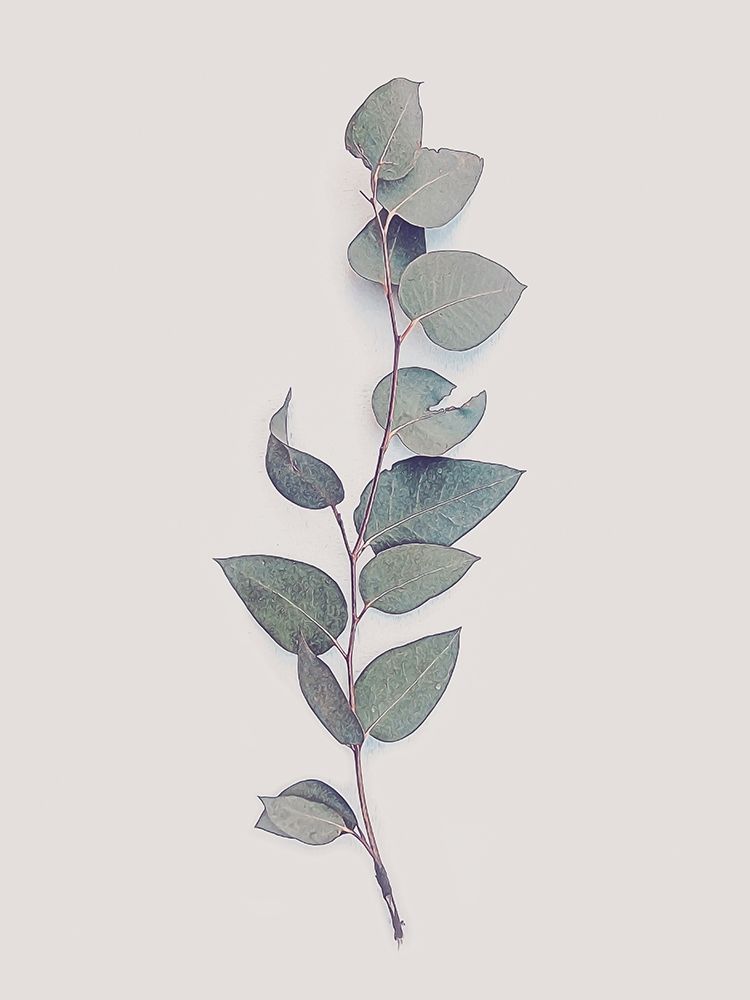 Tiny Branch art print by Urban Epiphany for $57.95 CAD