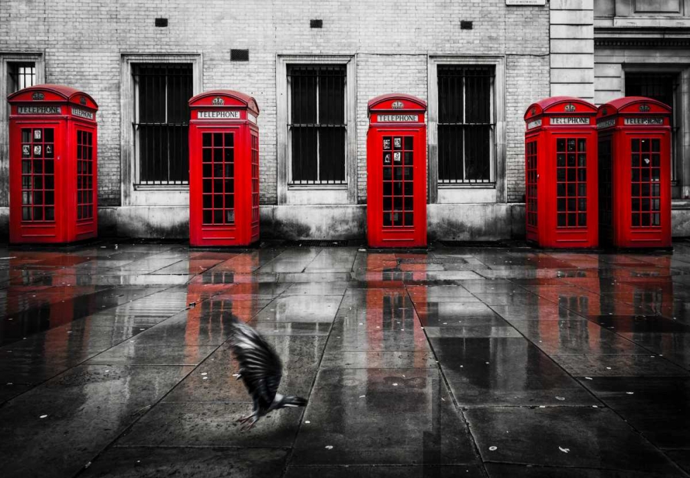 London Phone Booths Bird art print by Victoria Brown for $57.95 CAD