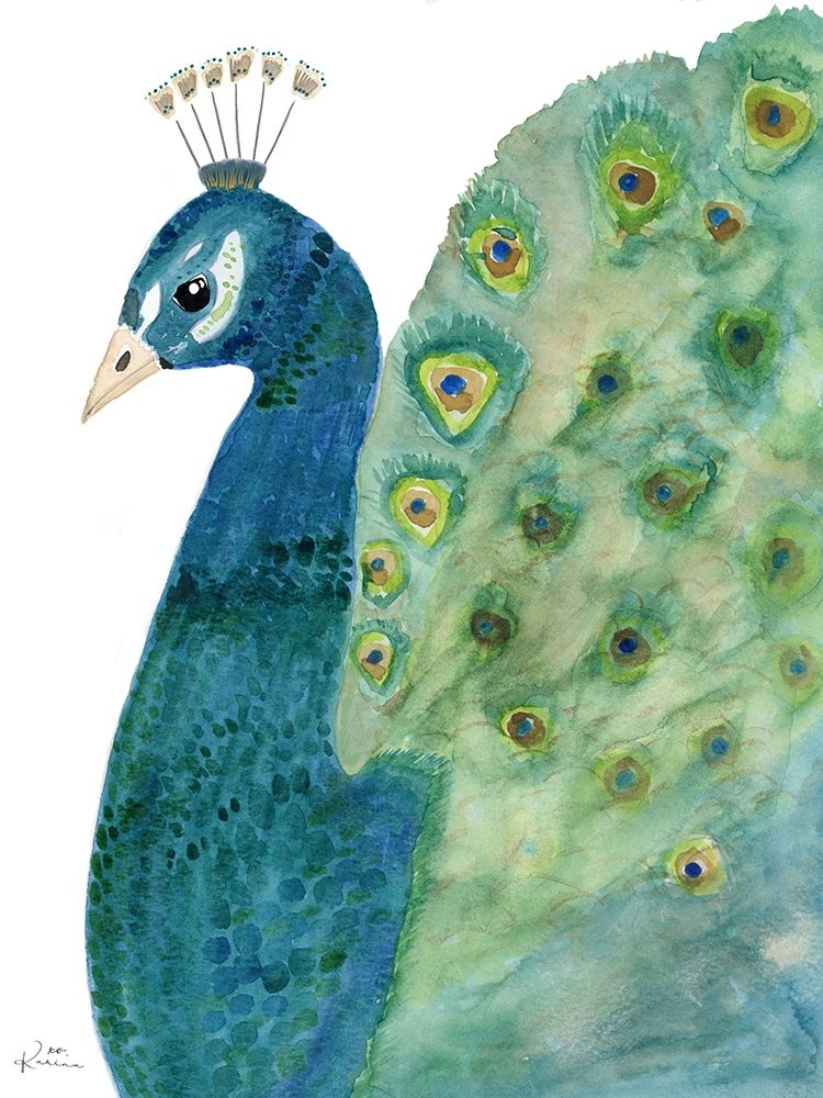 Peacock In Light art print by Karen Barski for $57.95 CAD