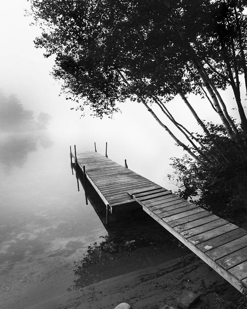 Foggy Dock BW 2 art print by Suzanne Foschino for $57.95 CAD