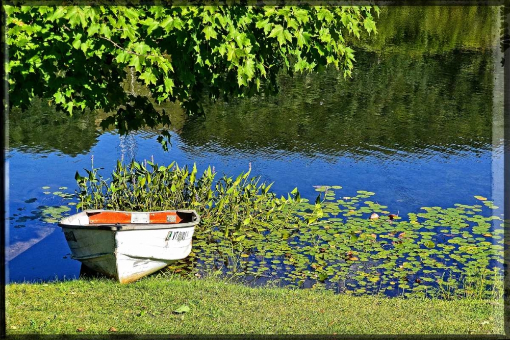 Country Pond Row Boat art print by Suzanne Foschino for $57.95 CAD