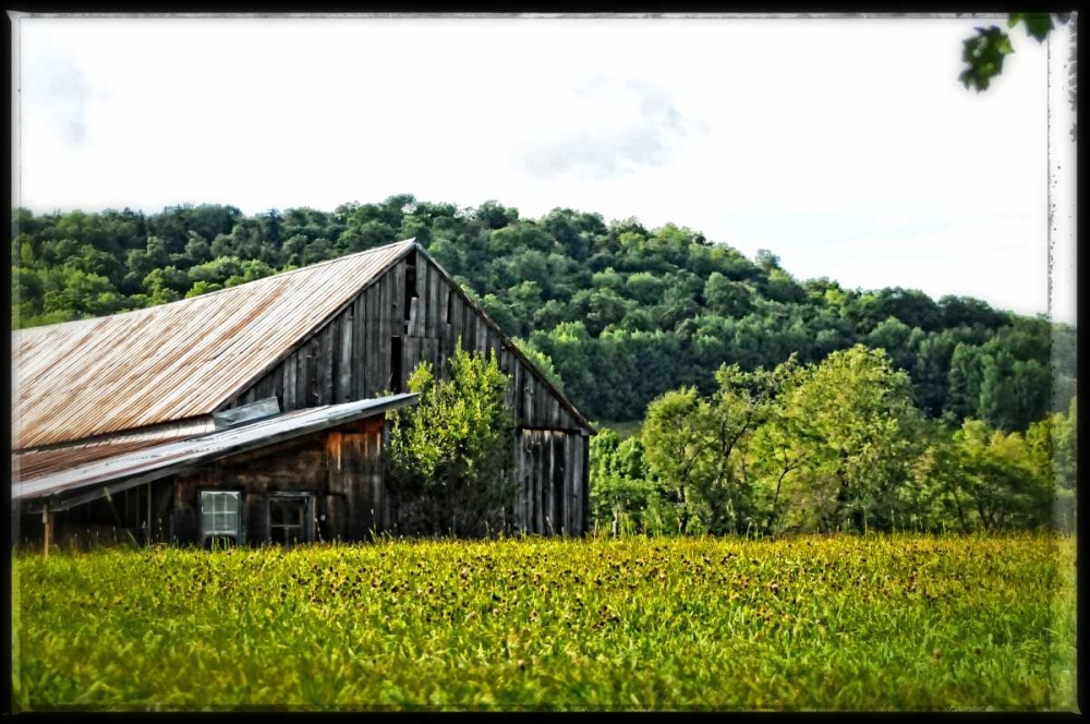 Country Barn 4 art print by Suzanne Foschino for $57.95 CAD