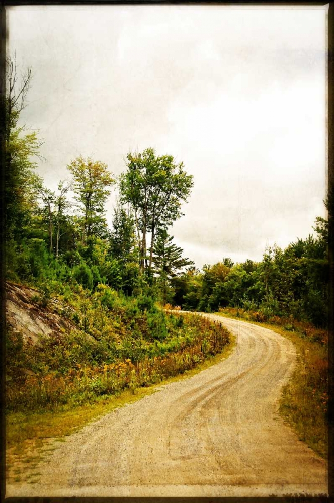 Winding Country Road art print by Suzanne Foschino for $57.95 CAD