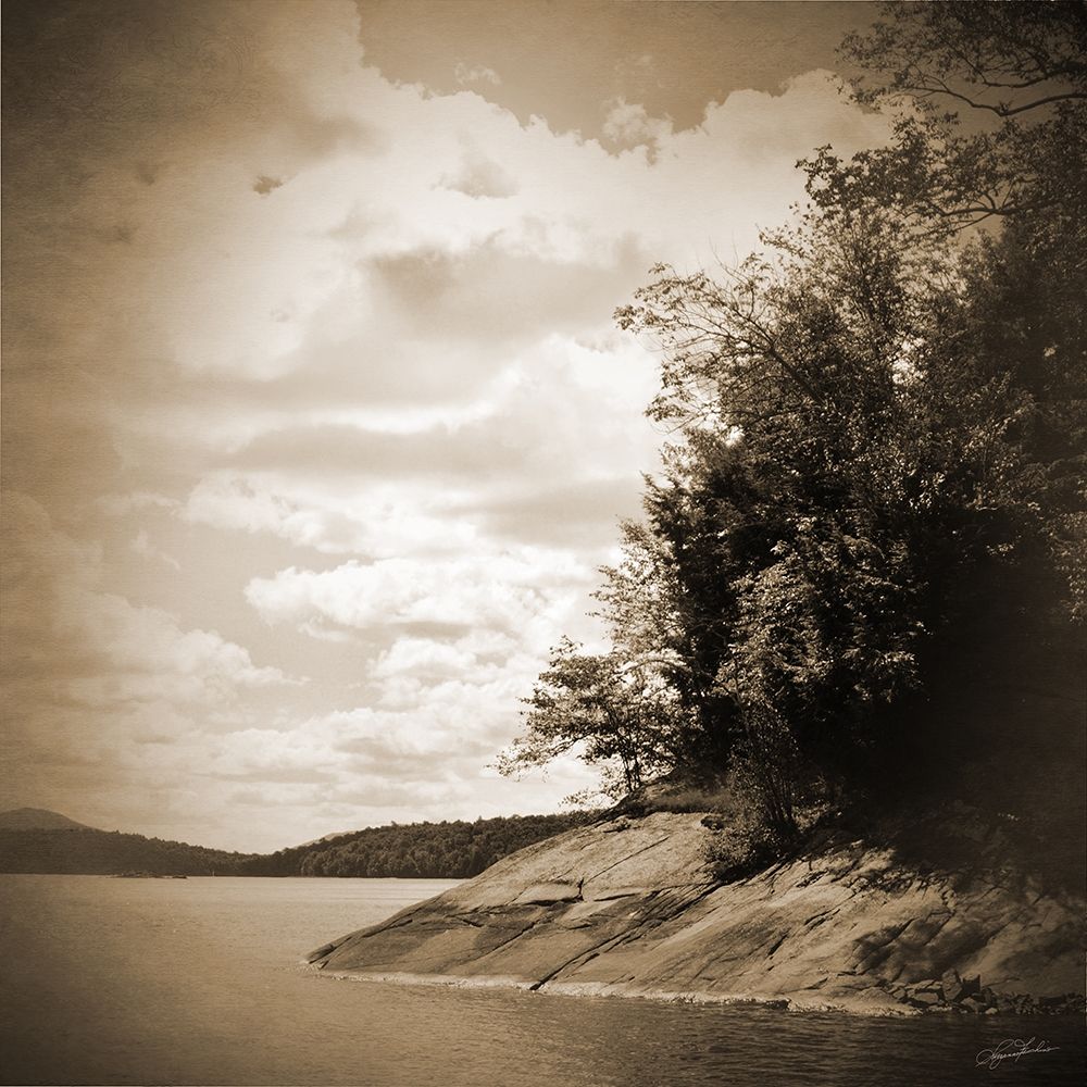 Sepia Lake art print by Suzanne Foschino for $57.95 CAD