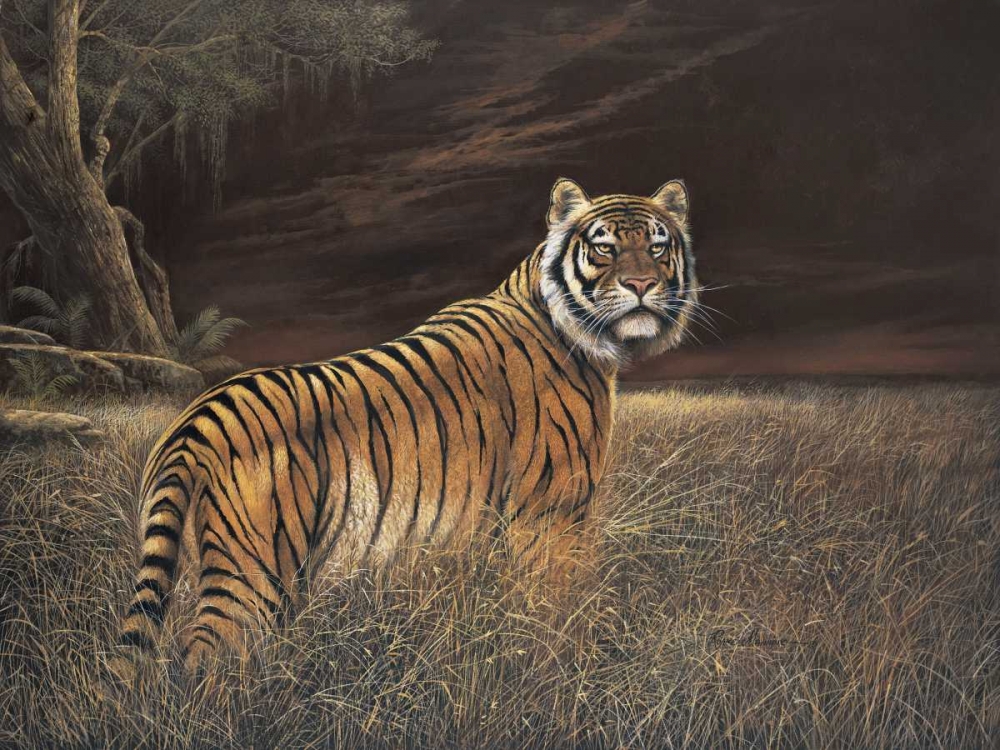 Splendor in the Grass art print by Ruane Manning for $57.95 CAD