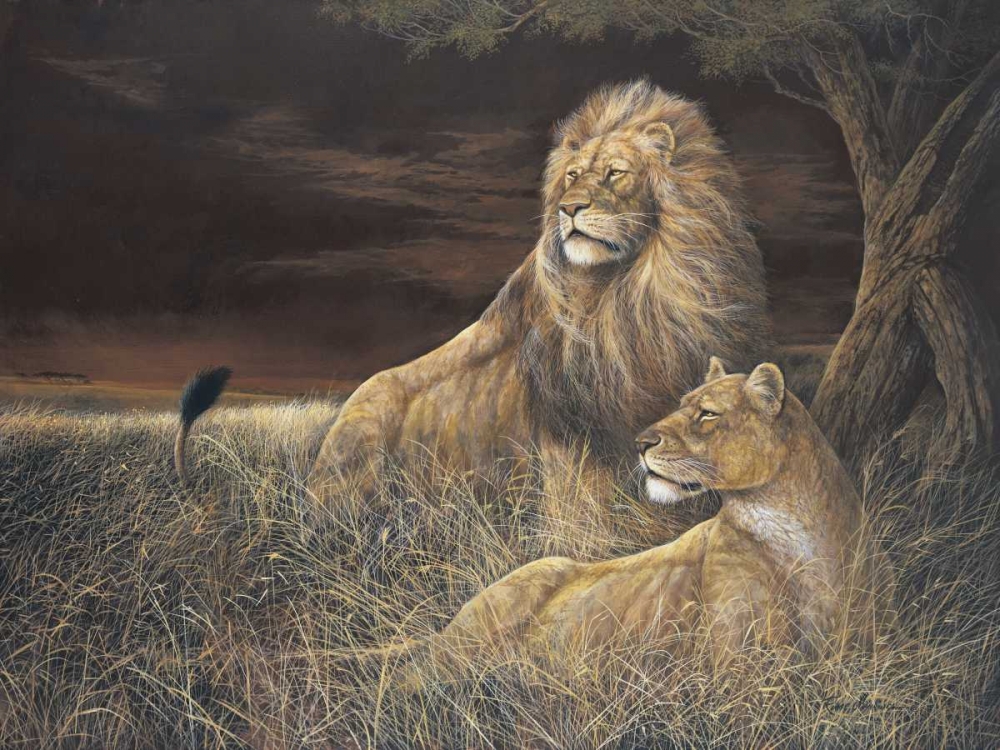 Winds of the Serengeti art print by Ruane Manning for $57.95 CAD