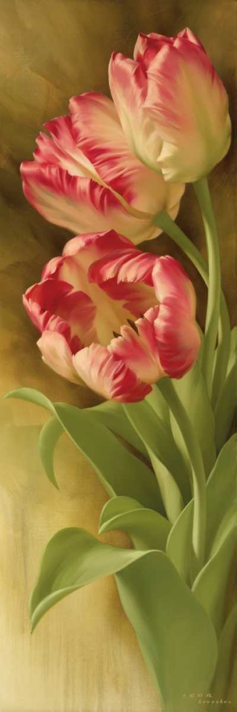 Springs Parrot Tulip I art print by Igor Levashov for $57.95 CAD