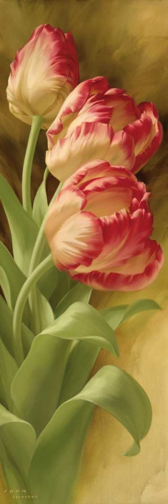 Springs Parrot Tulip II art print by Igor Levashov for $57.95 CAD
