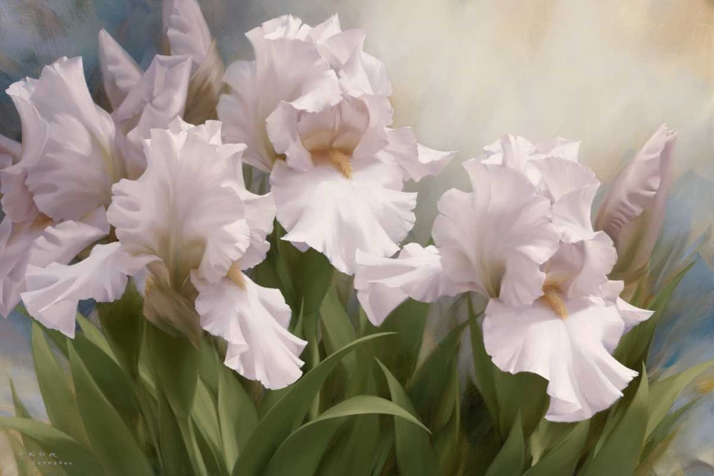 White Iris Elegance I art print by Igor Levashov for $57.95 CAD
