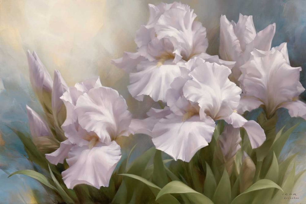 White Iris Elegance II art print by Igor Levashov for $57.95 CAD