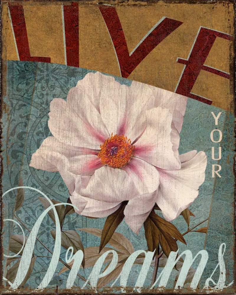 Live Your Dreams art print by Kelly Donovan for $57.95 CAD