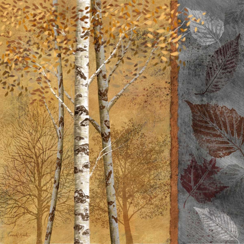 Birch Trees in Autumn II art print by Conrad Knutsen for $57.95 CAD