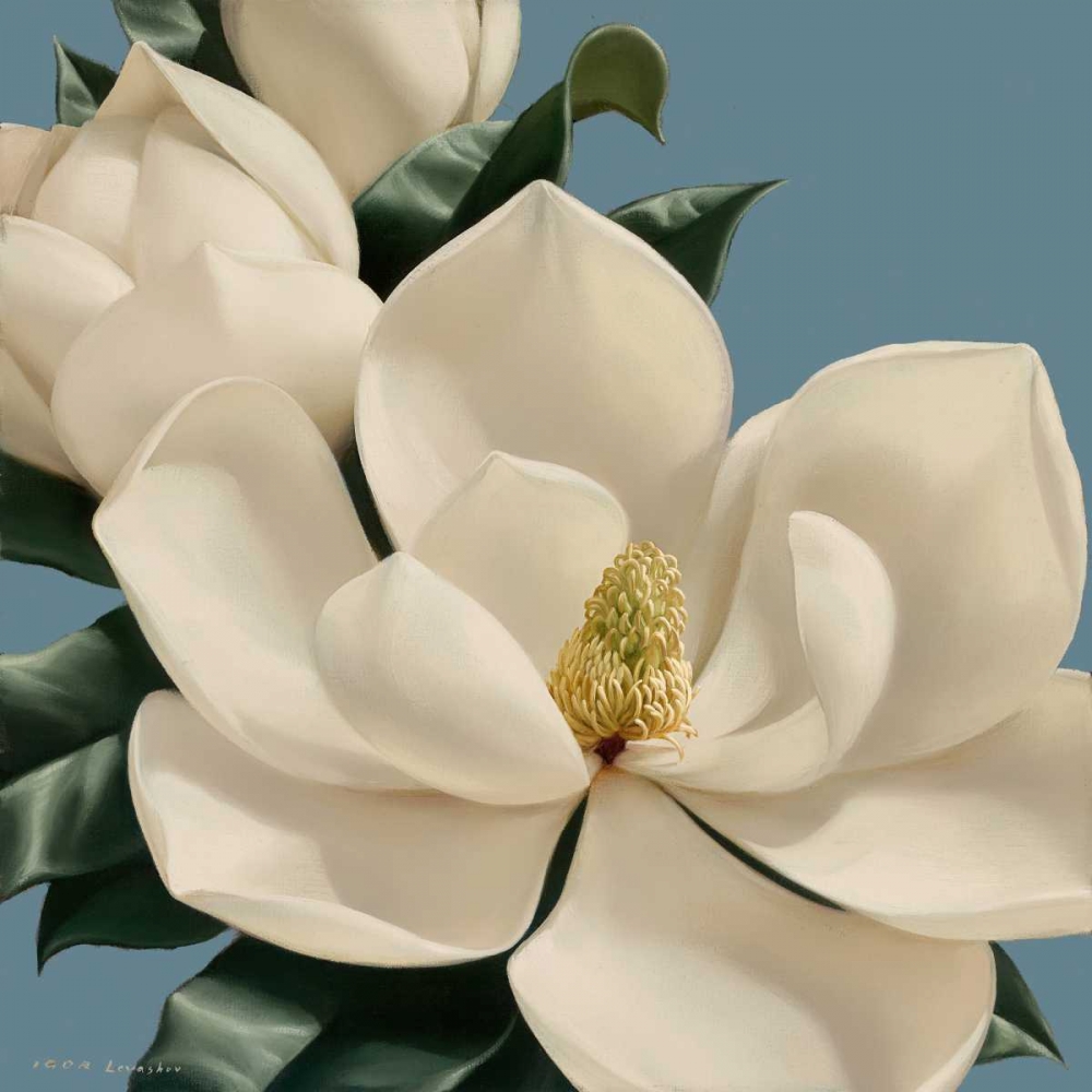 Dolce Magnolia art print by Igor Levashov for $57.95 CAD