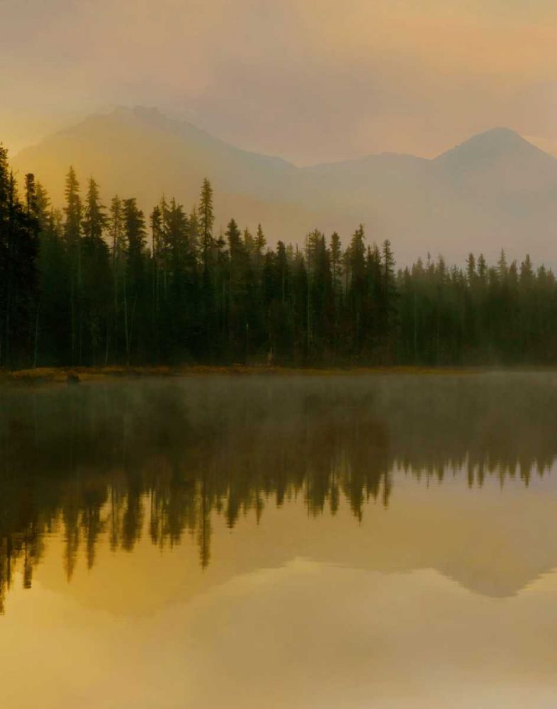 Twilight Reflection I art print by Danita Delimont for $57.95 CAD
