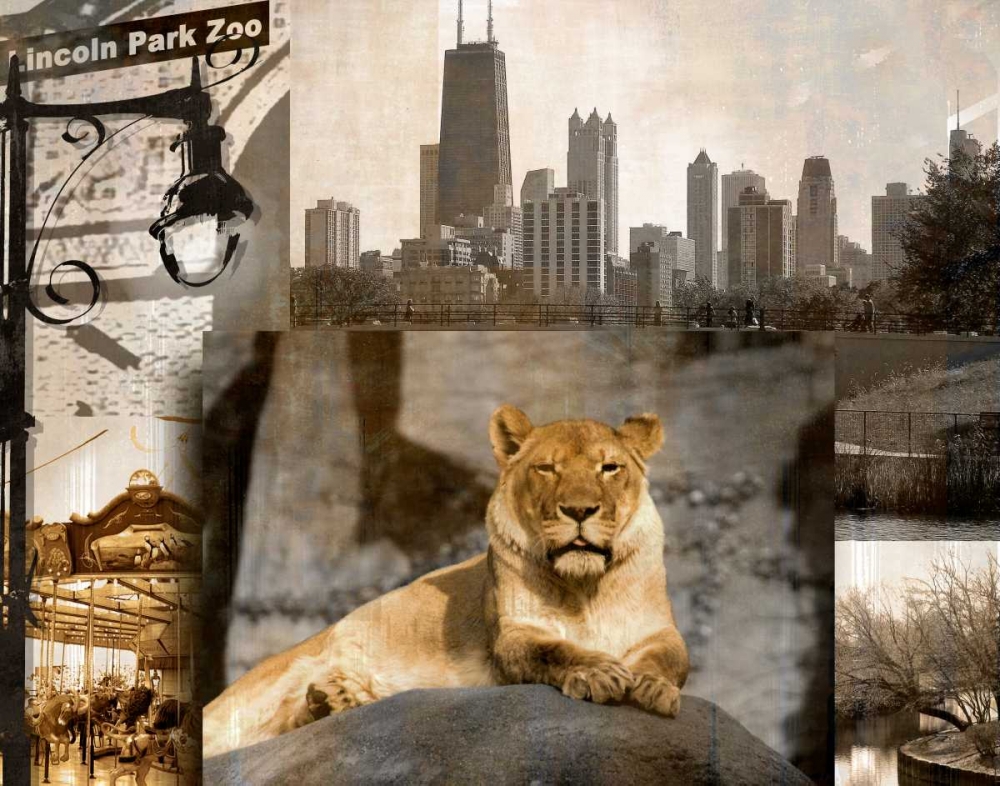 Lincoln Park Zoo art print by Kelly Donovan for $57.95 CAD