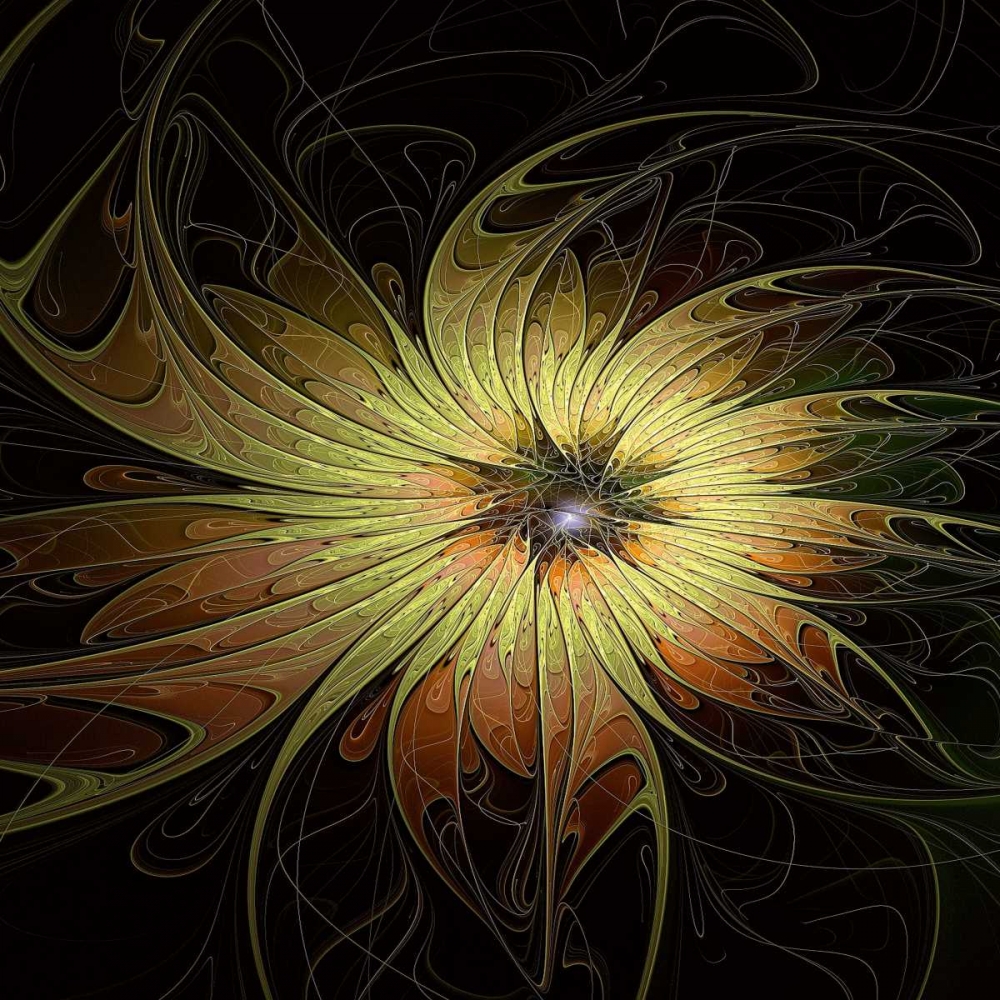 Bright Flower art print by Amanda Moore for $57.95 CAD
