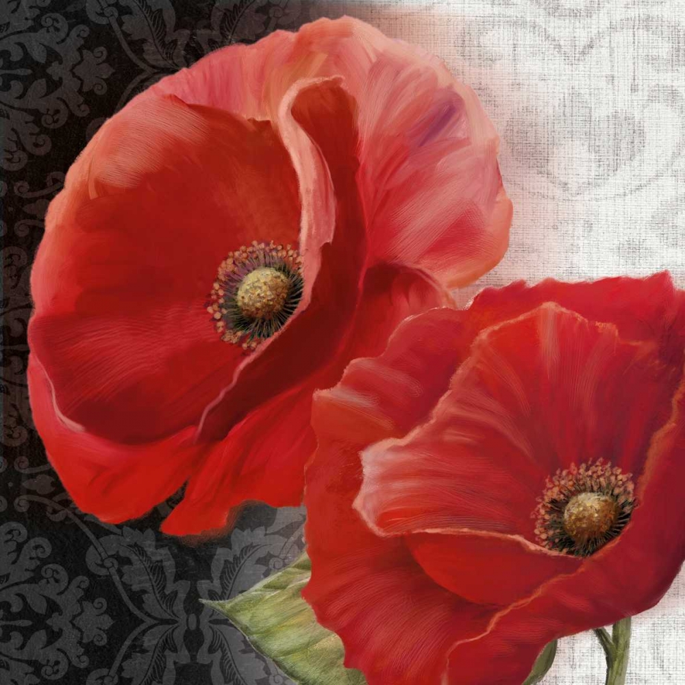 Poppy Perfection II art print by Conrad Knutsen for $57.95 CAD