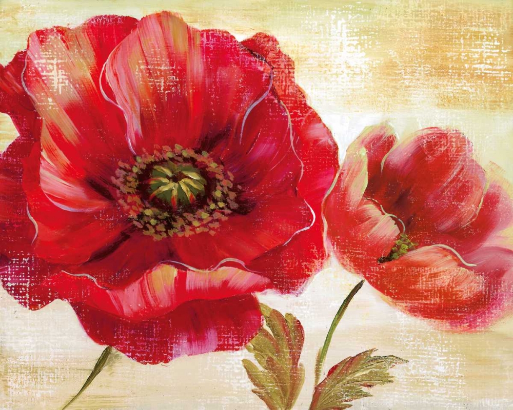 Passion For Poppies I art print by Nan for $57.95 CAD