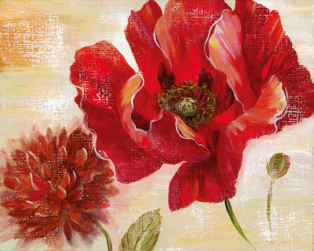 Passion For Poppies II art print by Nan for $57.95 CAD