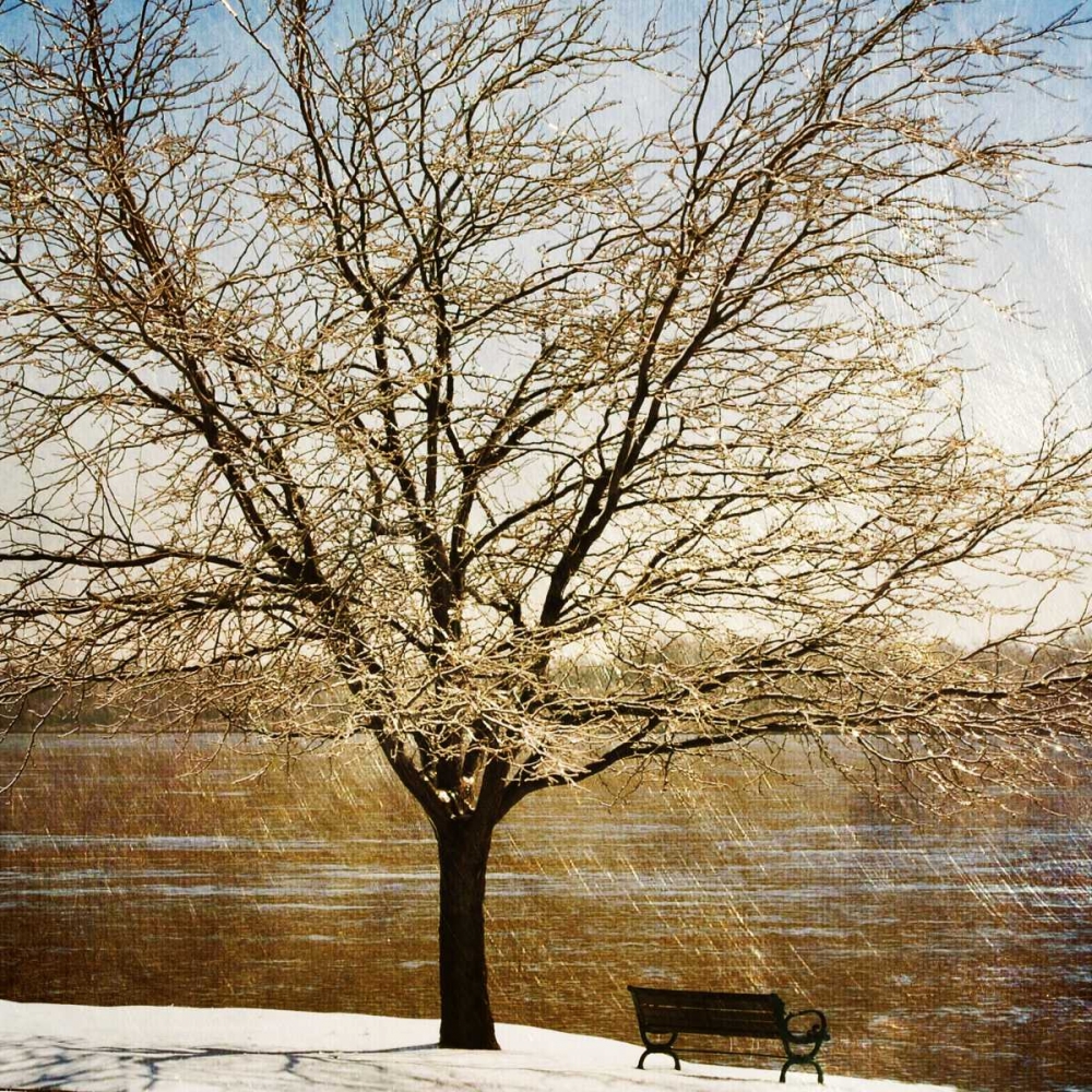 Lonely Tree in the Sun art print by Katrina Craven for $57.95 CAD