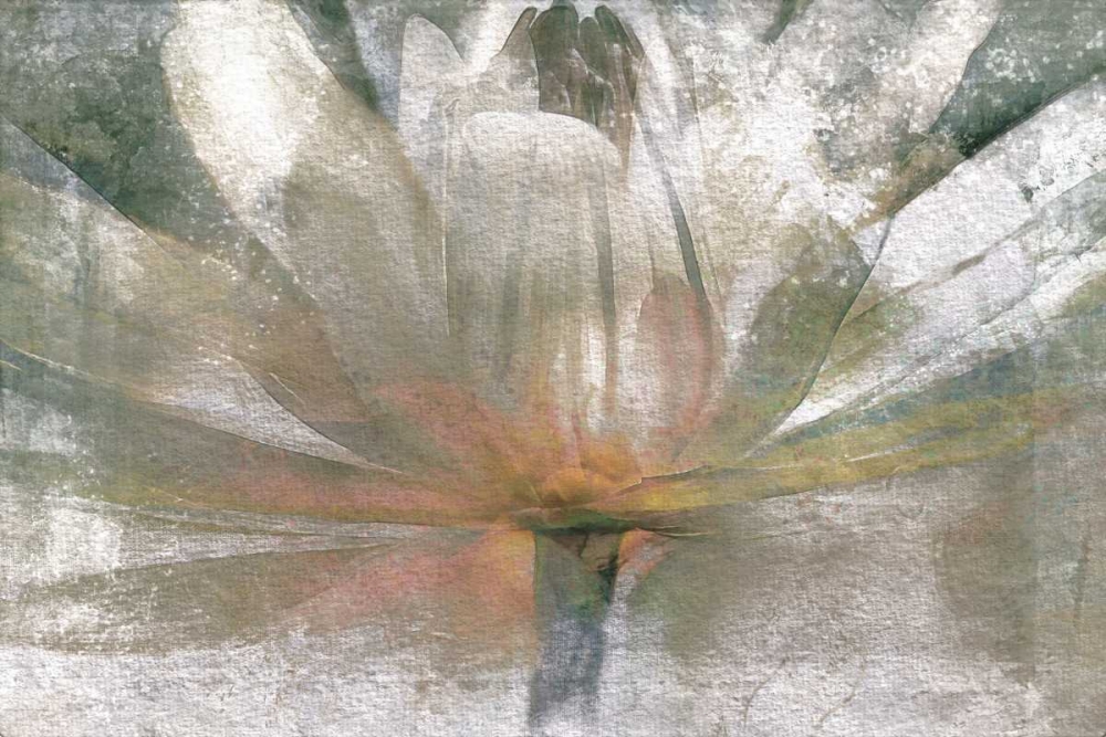 Lily Light art print by Mike Calascibetta for $57.95 CAD