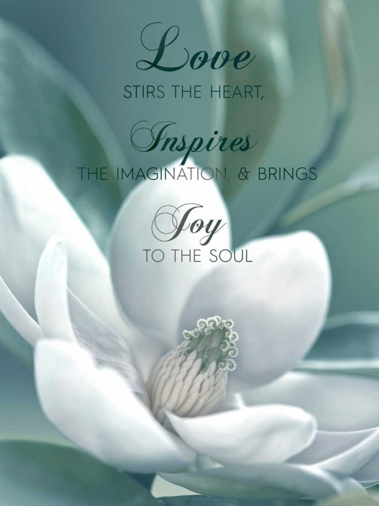 Joy To The Soul art print by Danita Delimont for $57.95 CAD