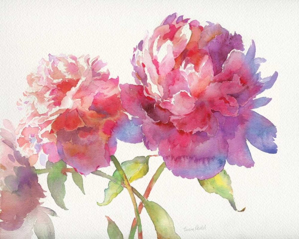 Prize Peonies II art print by Theresa Troise Heidel for $57.95 CAD