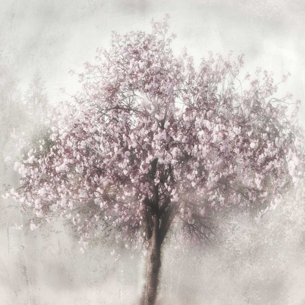 Blossoms of Spring II art print by Irene Weisz for $57.95 CAD