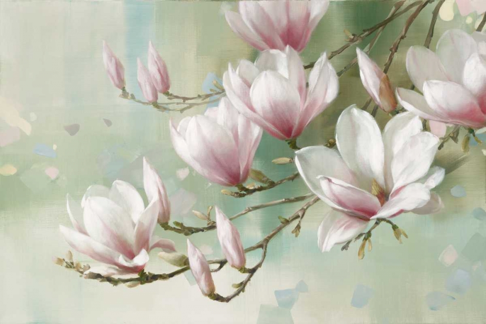 Magnolia Morning art print by Rogier Daniels for $57.95 CAD
