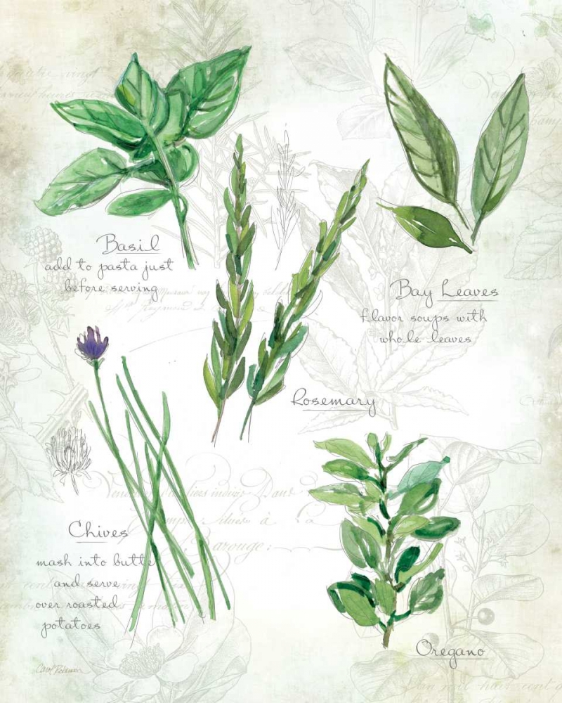 Fresh Herbs I art print by Carol Robinson for $57.95 CAD