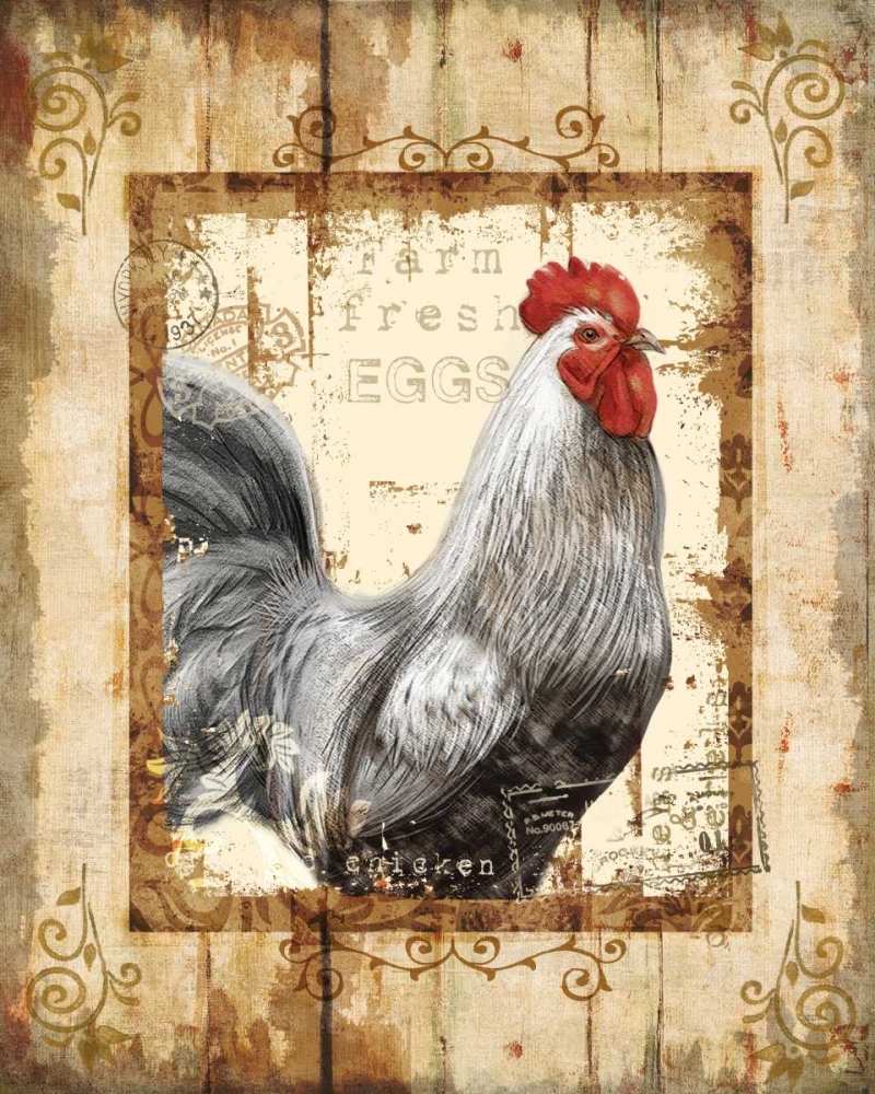 Farm Fresh Rooster art print by Conrad Knutsen for $57.95 CAD