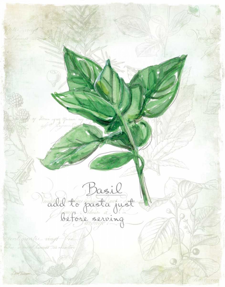 Fresh Basil art print by Carol Robinson for $57.95 CAD