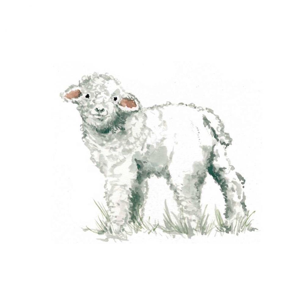 Baby Lamb art print by Carol Robinson for $57.95 CAD