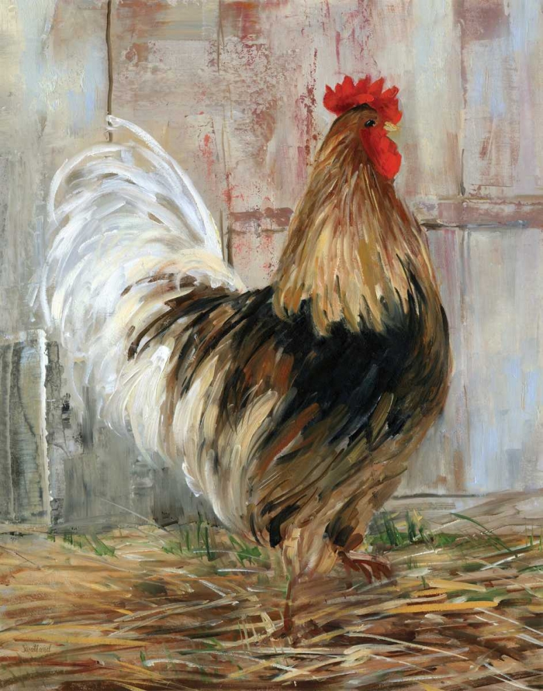 Farmhouse Rooster art print by Sally Swatland for $57.95 CAD