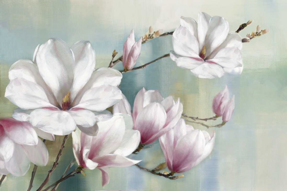 Magnolia Blooms art print by Rogier Daniels for $57.95 CAD