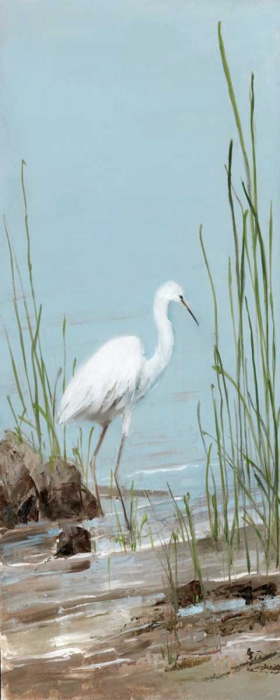Island Egret I art print by Sally Swatland for $57.95 CAD