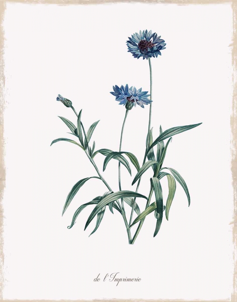 Imperial Blue art print by Kelly Donovan for $57.95 CAD