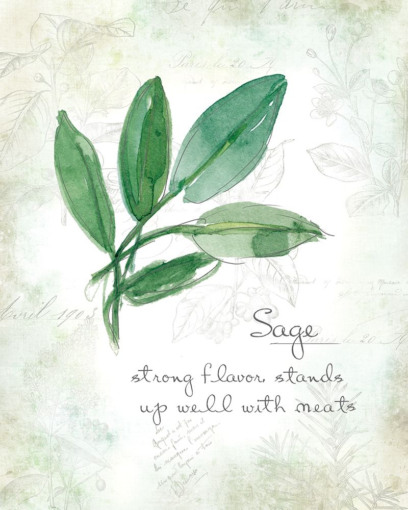Fresh Sage art print by Carol Robinson for $57.95 CAD