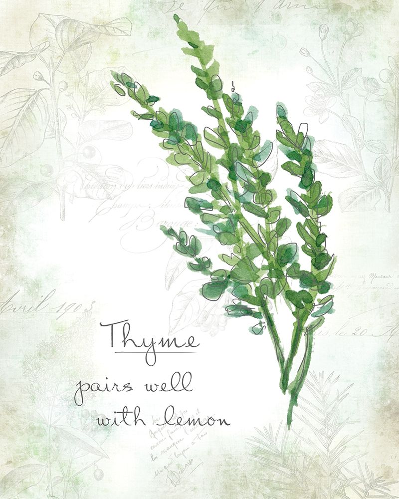 Fresh Thyme art print by Carol Robinson for $57.95 CAD