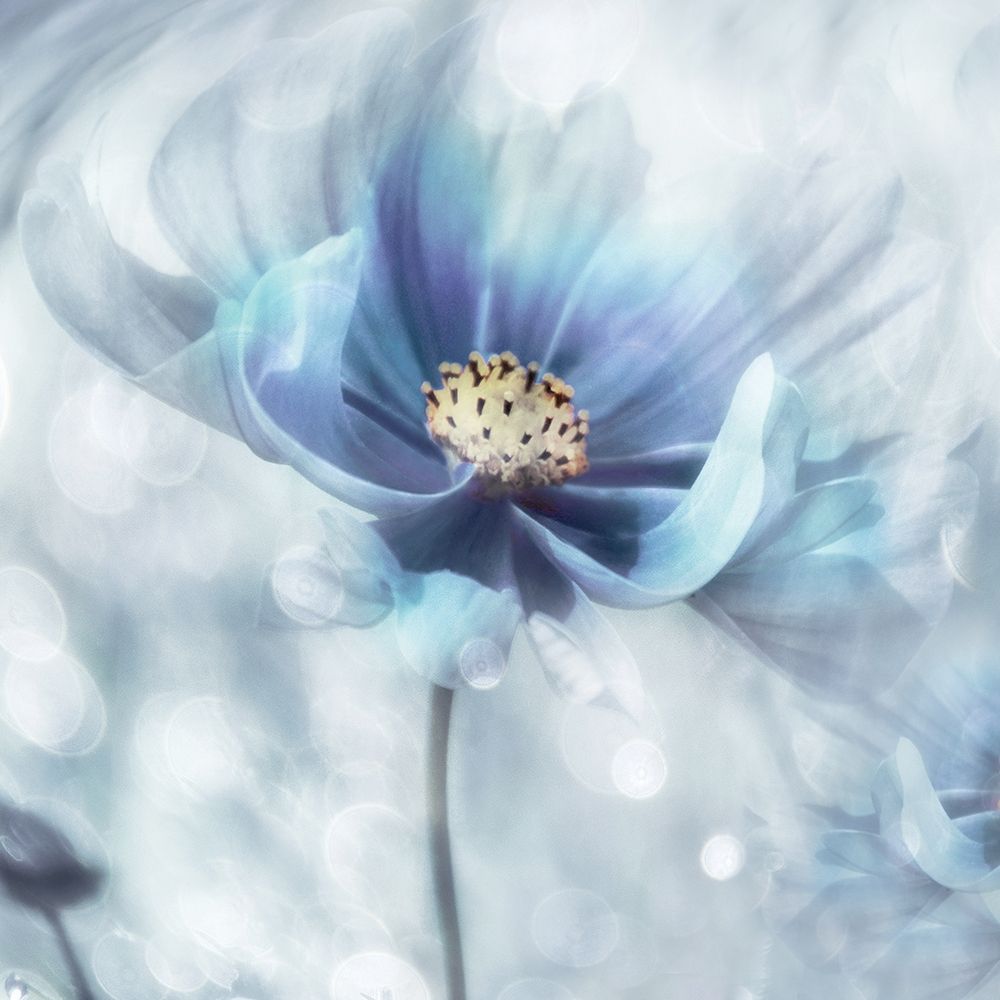 Feeling of Blue I art print by Irene Weisz for $57.95 CAD