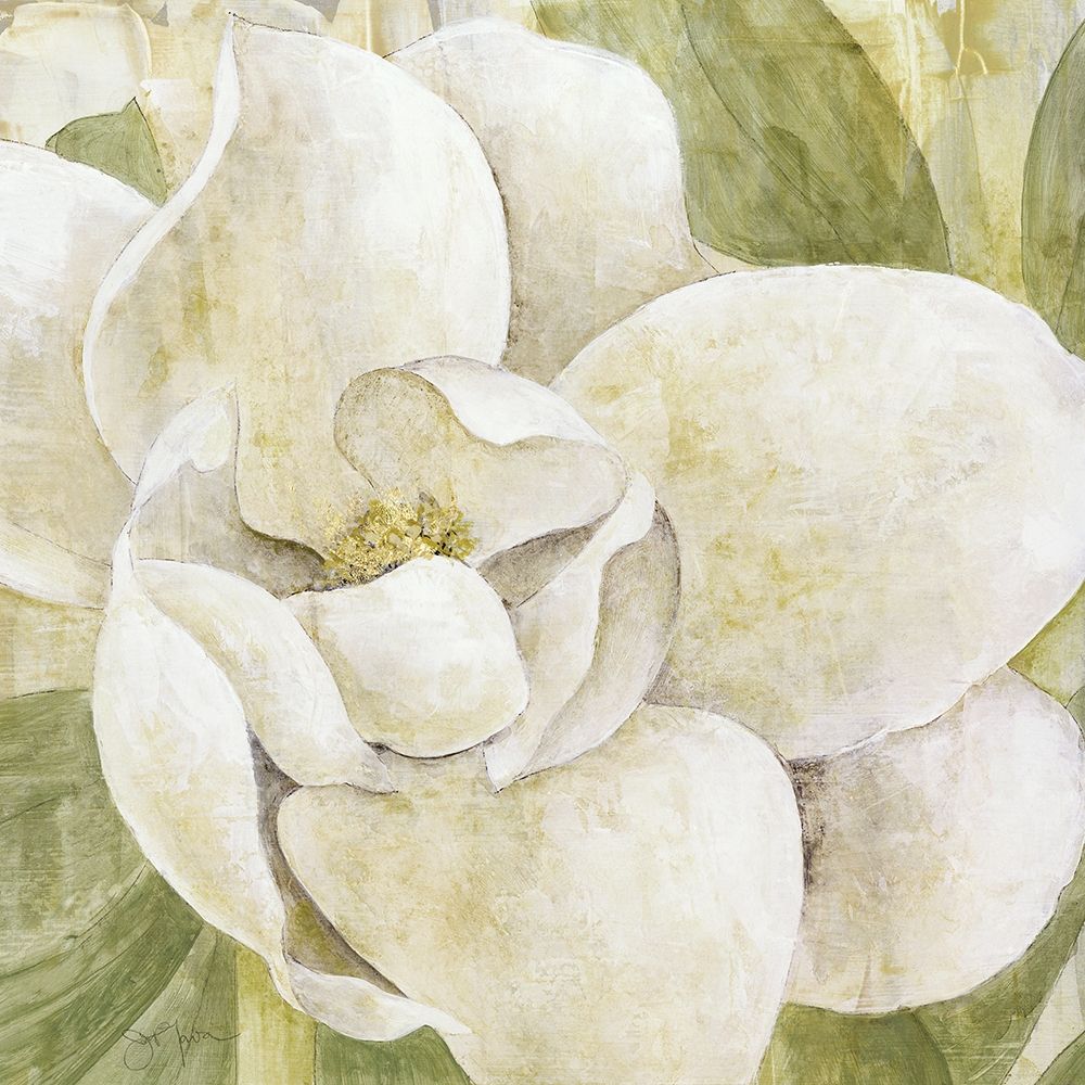 Magnolia Dolce art print by Tava Studios for $57.95 CAD